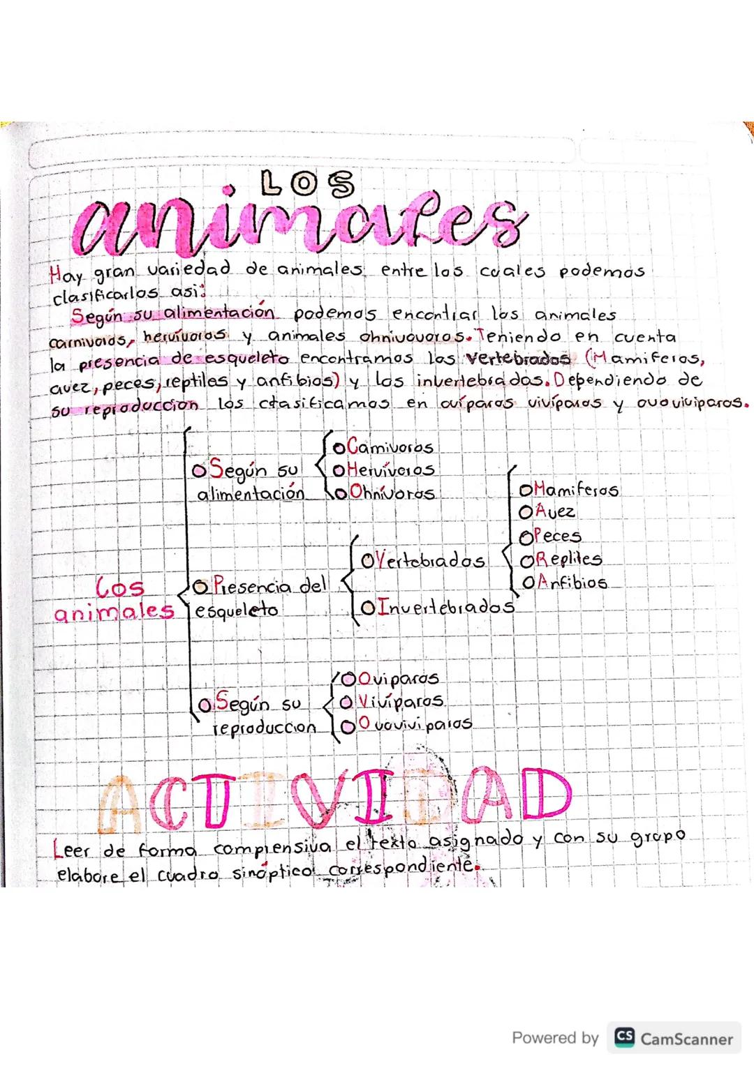 20
organizadores
Es una representación grafica de la asociación de ideas.
conceptos que se relacionan entre si y entre los cuales se
estable