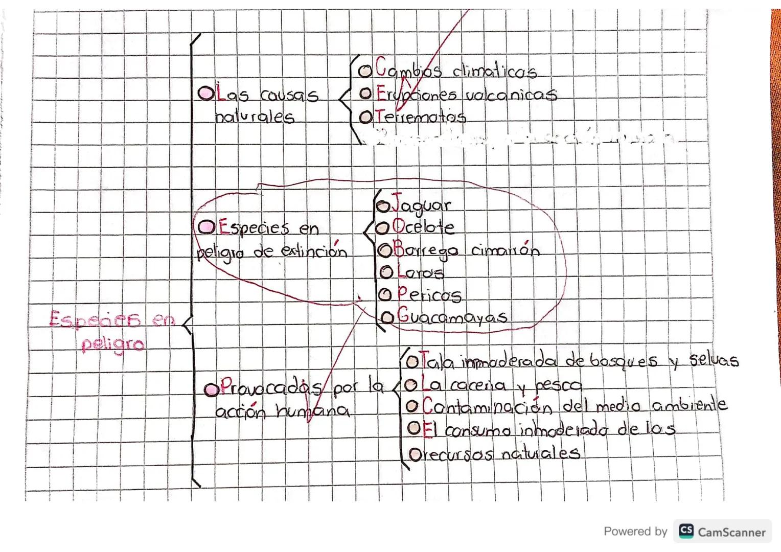 20
organizadores
Es una representación grafica de la asociación de ideas.
conceptos que se relacionan entre si y entre los cuales se
estable