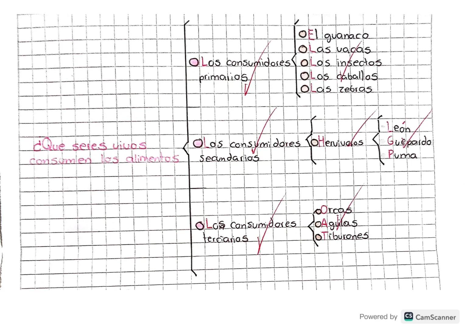 20
organizadores
Es una representación grafica de la asociación de ideas.
conceptos que se relacionan entre si y entre los cuales se
estable
