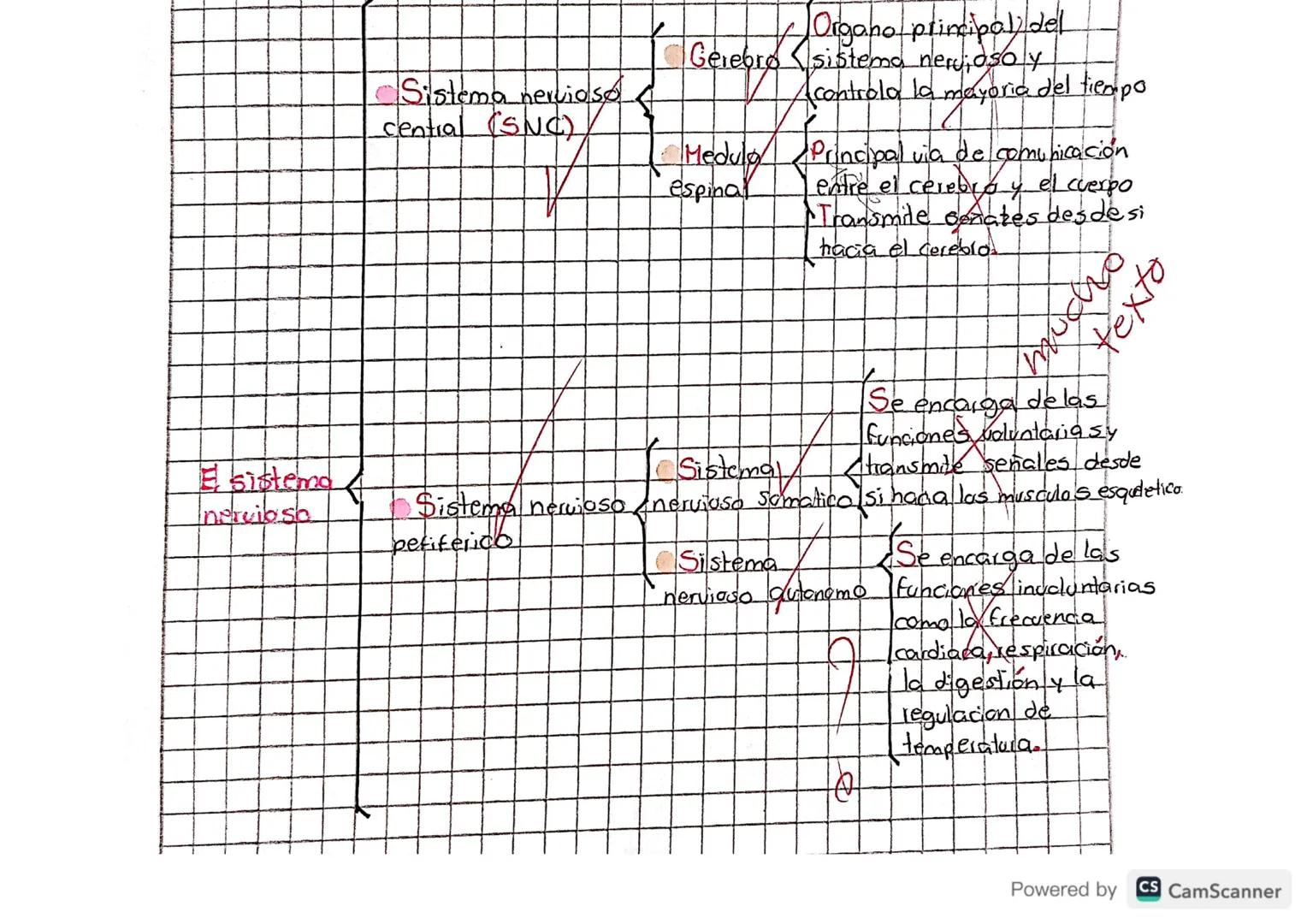 20
organizadores
Es una representación grafica de la asociación de ideas.
conceptos que se relacionan entre si y entre los cuales se
estable