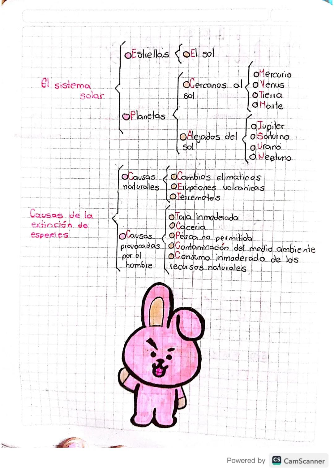 20
organizadores
Es una representación grafica de la asociación de ideas.
conceptos que se relacionan entre si y entre los cuales se
estable