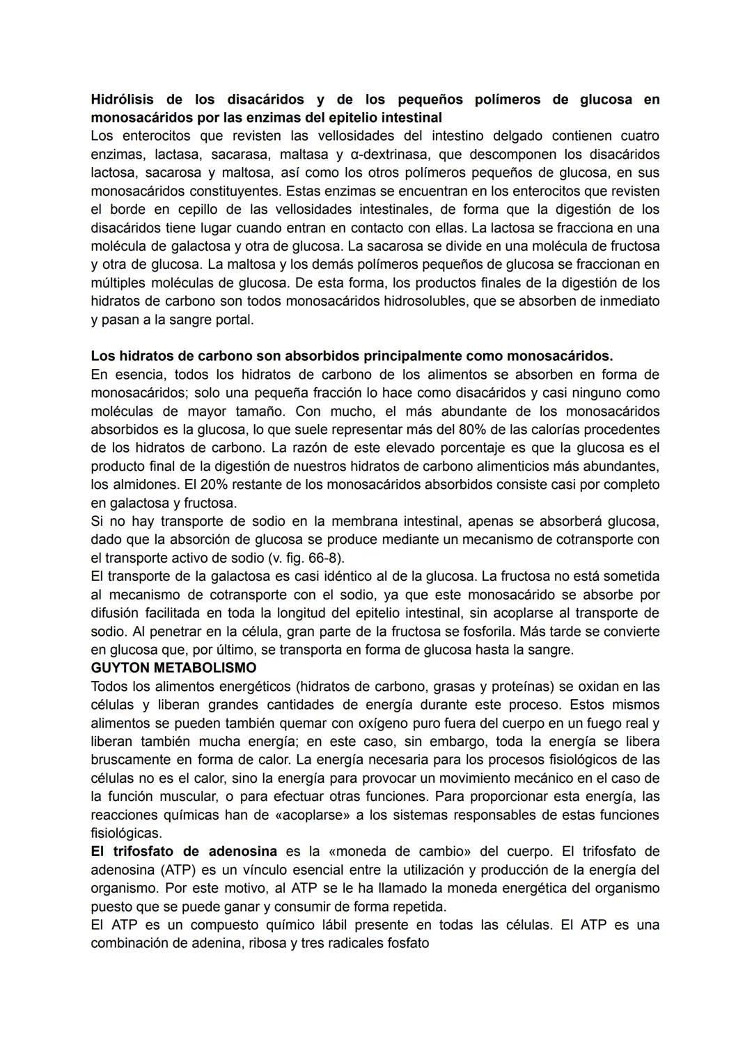 ¿Qué son?
Los carbohidratos, llamados formalmente glúcidos o hidratos de carbono, son biomoléculas
que contienen carbono, hidrógeno y oxígen