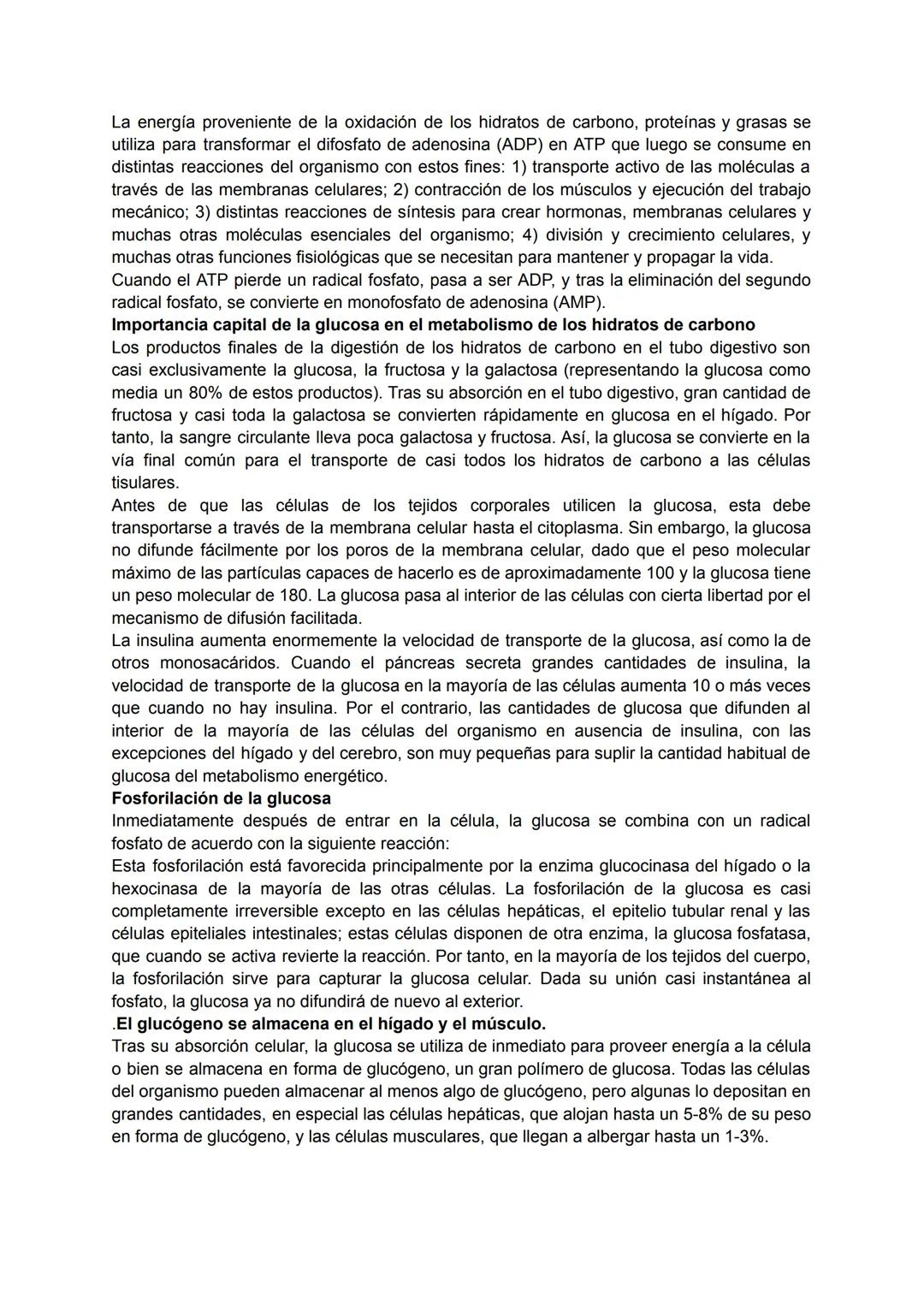 ¿Qué son?
Los carbohidratos, llamados formalmente glúcidos o hidratos de carbono, son biomoléculas
que contienen carbono, hidrógeno y oxígen