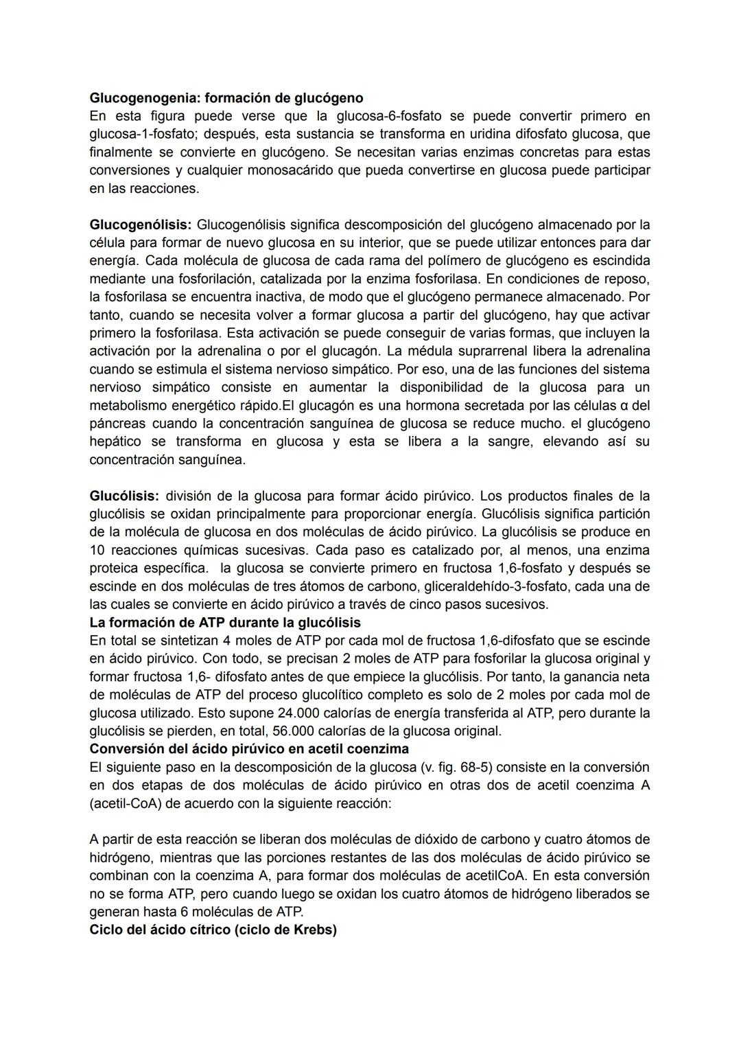 ¿Qué son?
Los carbohidratos, llamados formalmente glúcidos o hidratos de carbono, son biomoléculas
que contienen carbono, hidrógeno y oxígen