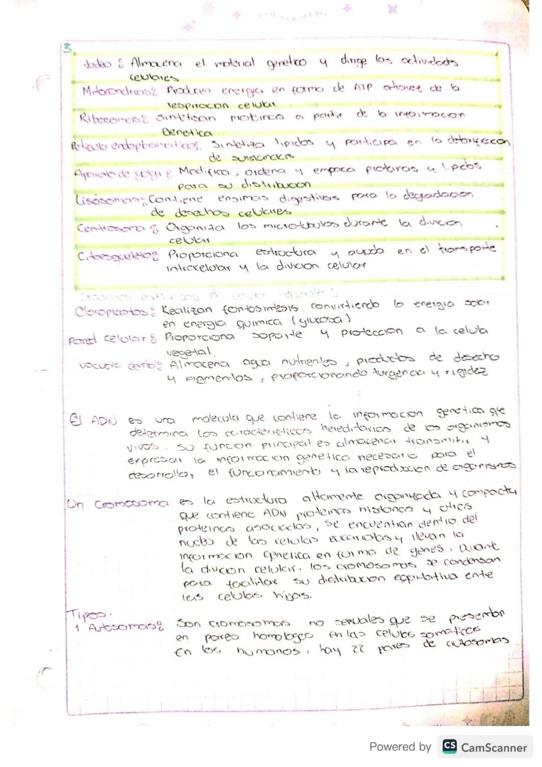 SLOW
I STILL PROCESS
Celula
Pacanota
En las celutis precariotas, como,
las bacterias, el materical genetico,
no esta contenido dentro de an