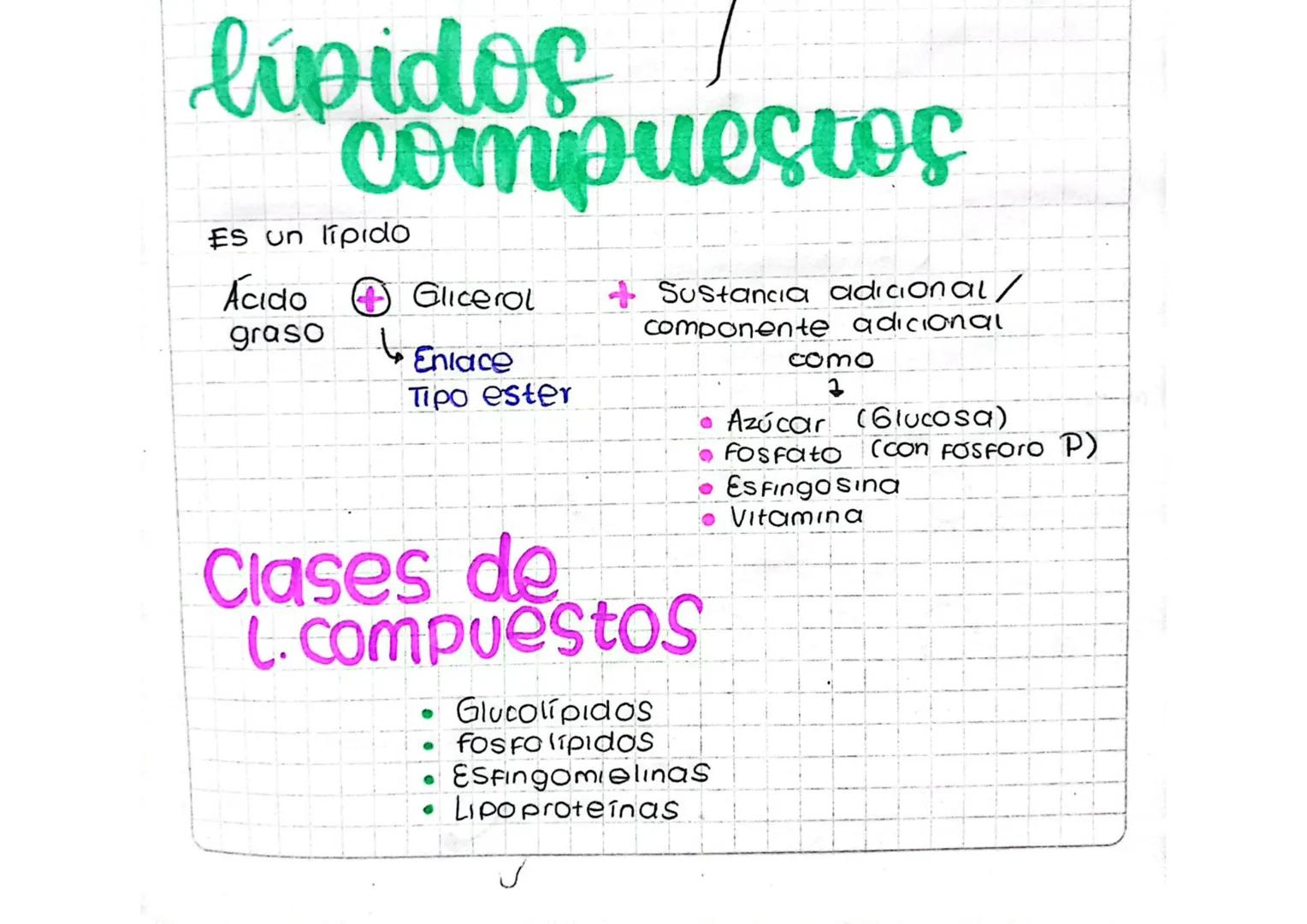 lípidos
compuestos
Es un lipido
Ácido
graso
Glicerol
Enlace
Tipo ester
Sustancia adicional/
Componente adicional
Clases de
L. compuestos
Glu