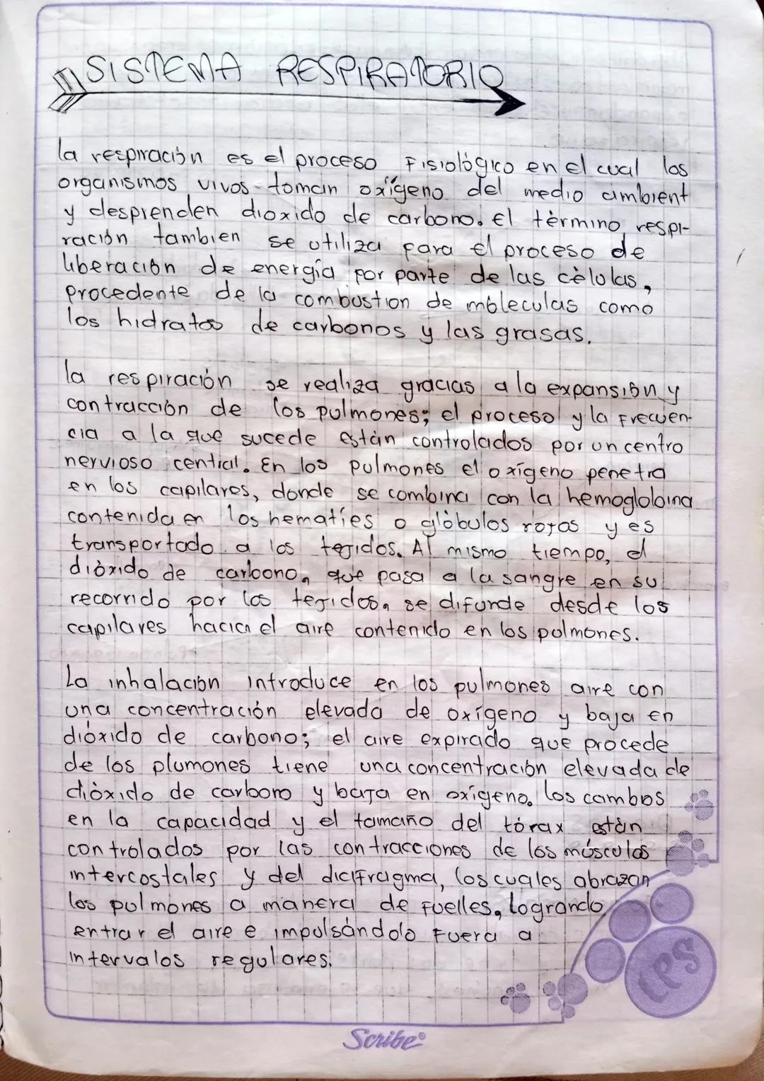 # SISTEMA RESPIRATORIO
la respiración es el proceso Fisiológico en el cual los
organisimos vivos tomcın oxígeno del medio ambient
y despren