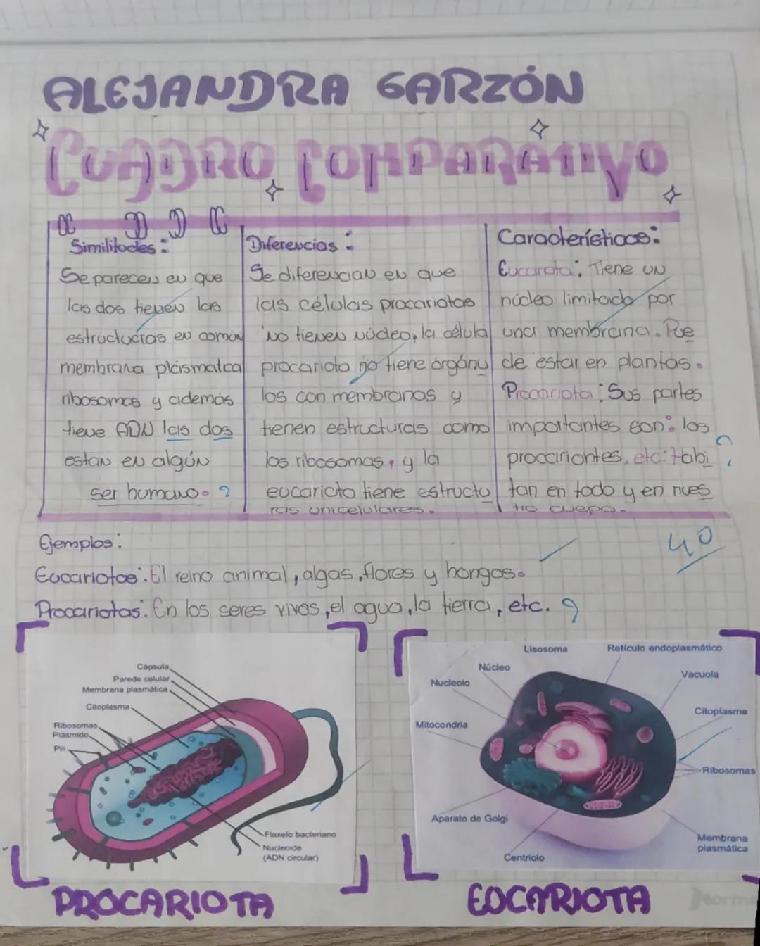 Z
ALEJANDRA GARZÓN
CUADRO Copparányo
0 0 0
Similitudes:
Se parece eu que
las dos tiene las
estructuras e como
membrana plasmatica
ribosomas
