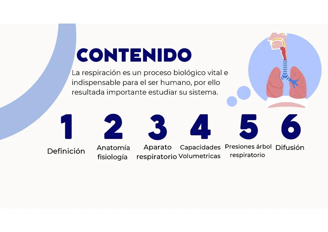 Sistema respiratorio
