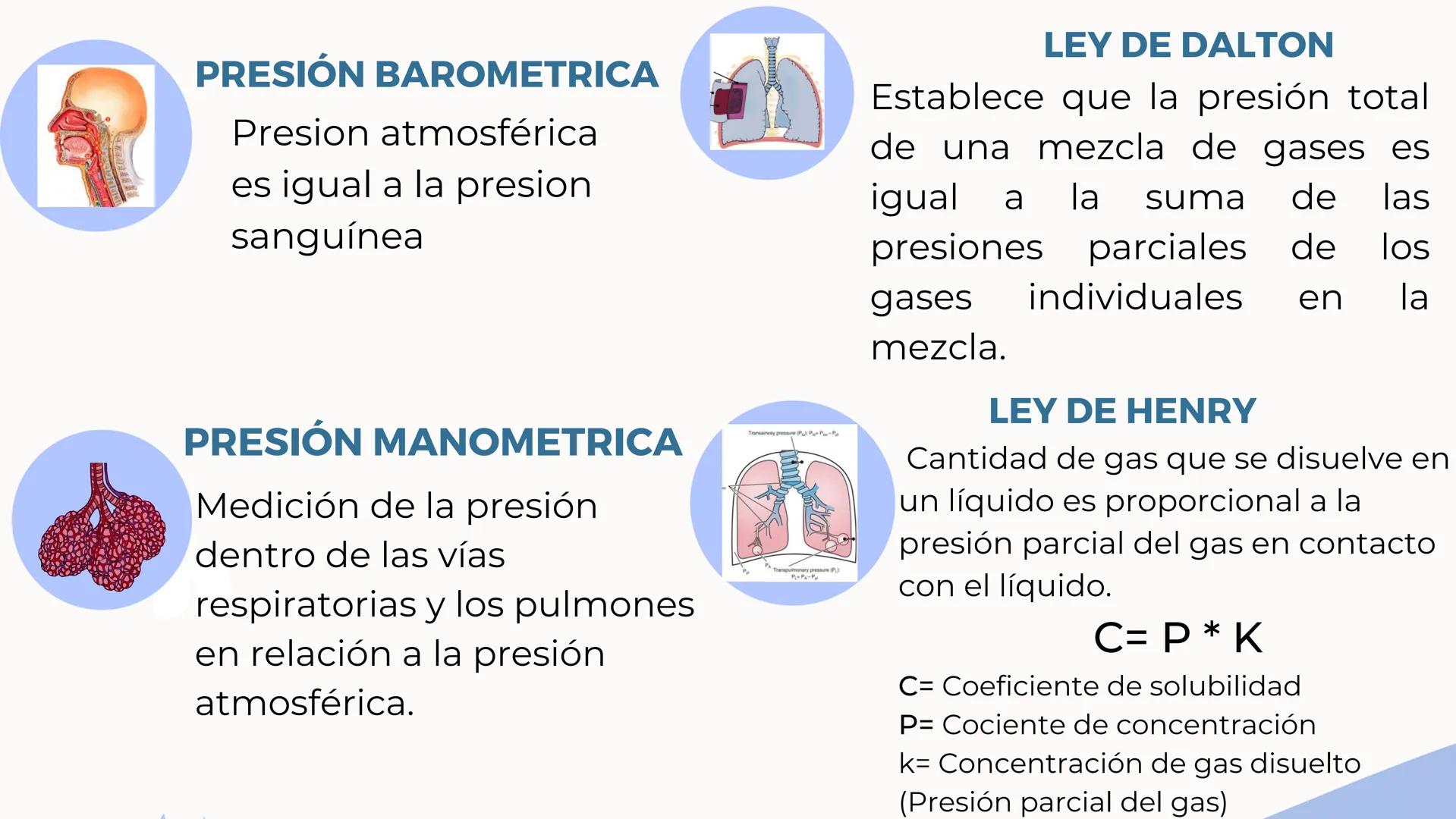 CONTENIDO
La respiración es un proceso biológico vital e
indispensable para el ser humano, por ello
resultada importante estudiar su sistema