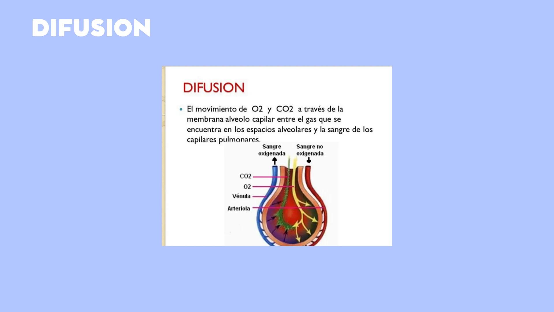 CONTENIDO
La respiración es un proceso biológico vital e
indispensable para el ser humano, por ello
resultada importante estudiar su sistema