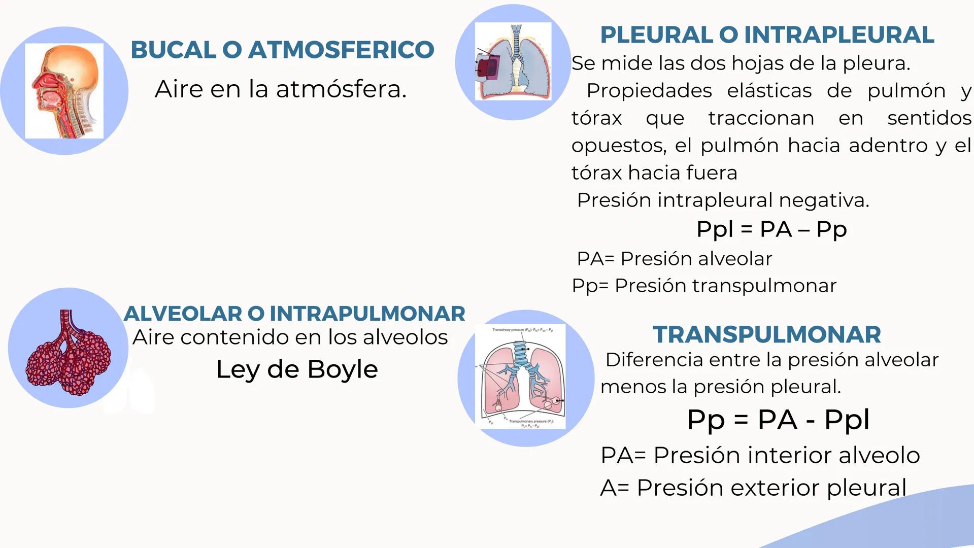 CONTENIDO
La respiración es un proceso biológico vital e
indispensable para el ser humano, por ello
resultada importante estudiar su sistema