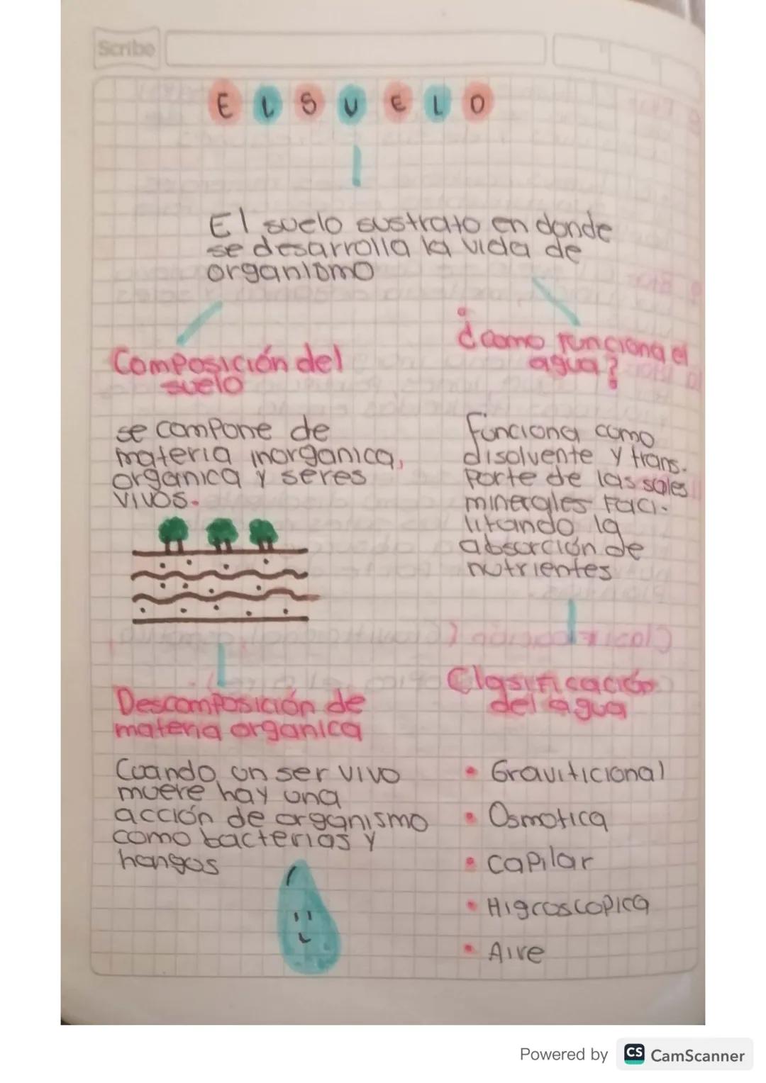 Scribe
ELSUELO
El suelo sustrato en donde
se desarrolla la vida de
organiomo
Composición del
Suelo
se compone de
materia inorganica,
organic