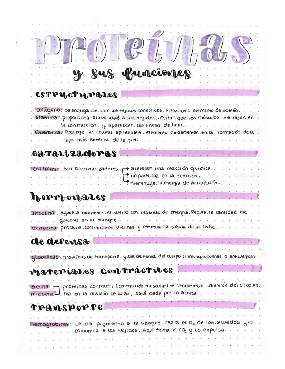 # Proteínas
y sus funciones
## estructurales
Colágeno: se encarga de. unir los tejidos conectivos. Actúa.como elemento.de.sostén.
Elastina: