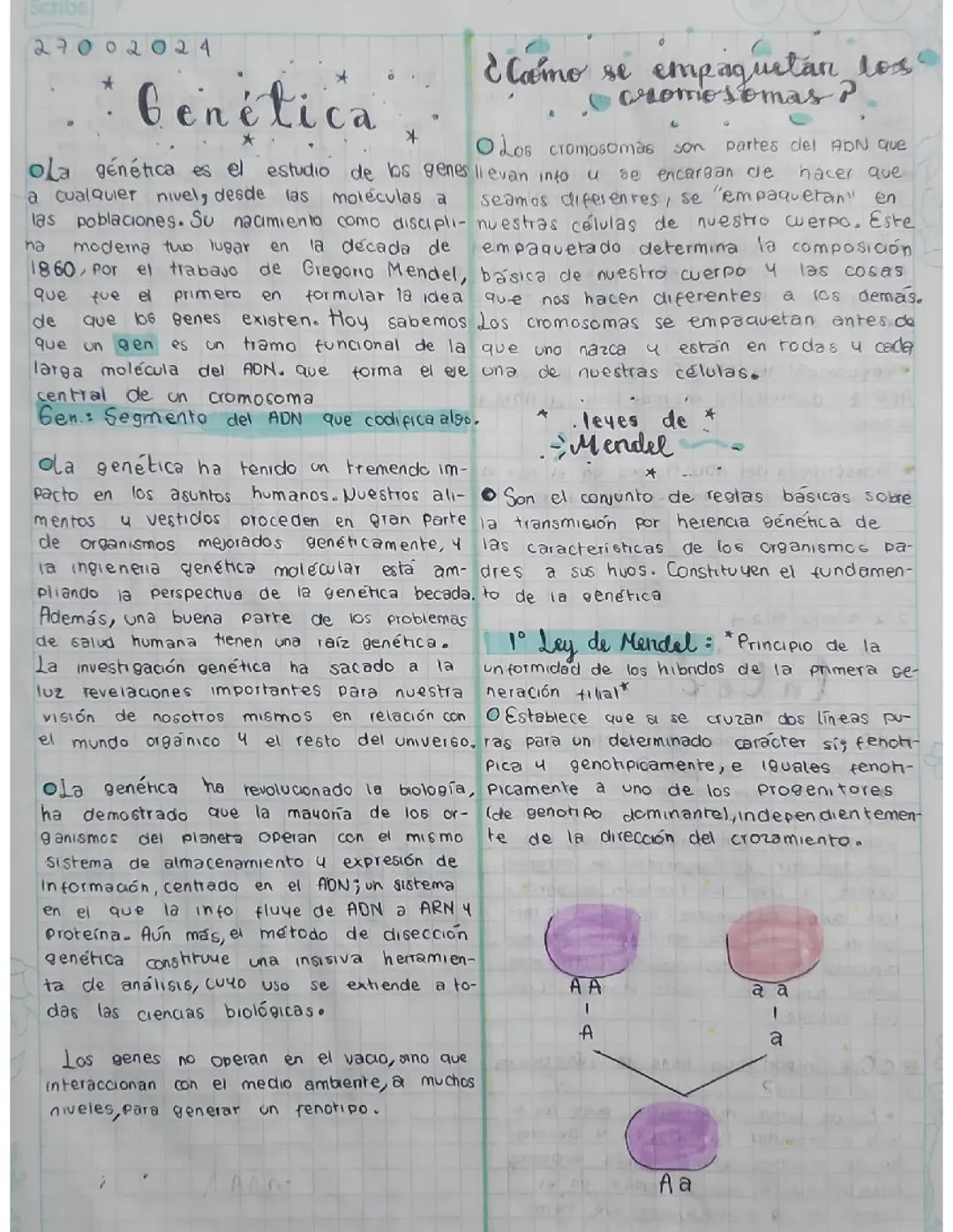 Genética, leyes de mendel