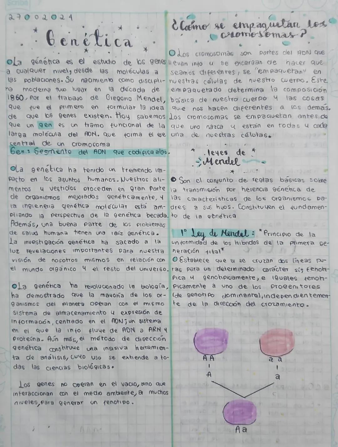 27
024
Genética
*
¿Como se empaquetan loss"
cromosomas P
Los cromosomas son partes del ADN que
ola génética es el estudio de los genes lleva