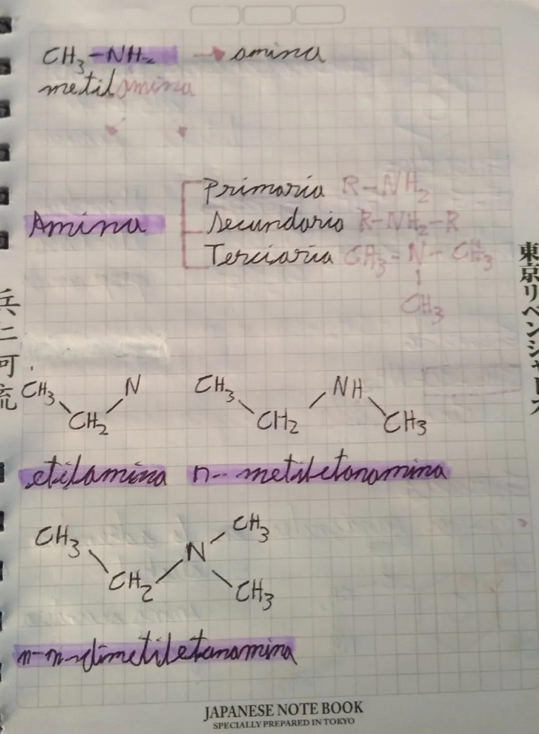 東京リ
23 082024
☆ Compuenter Wetheprador
son
• For compuestor nitrogenador
biomolécutor que en su estructions
contienen nitrogeno, ya sea in
m