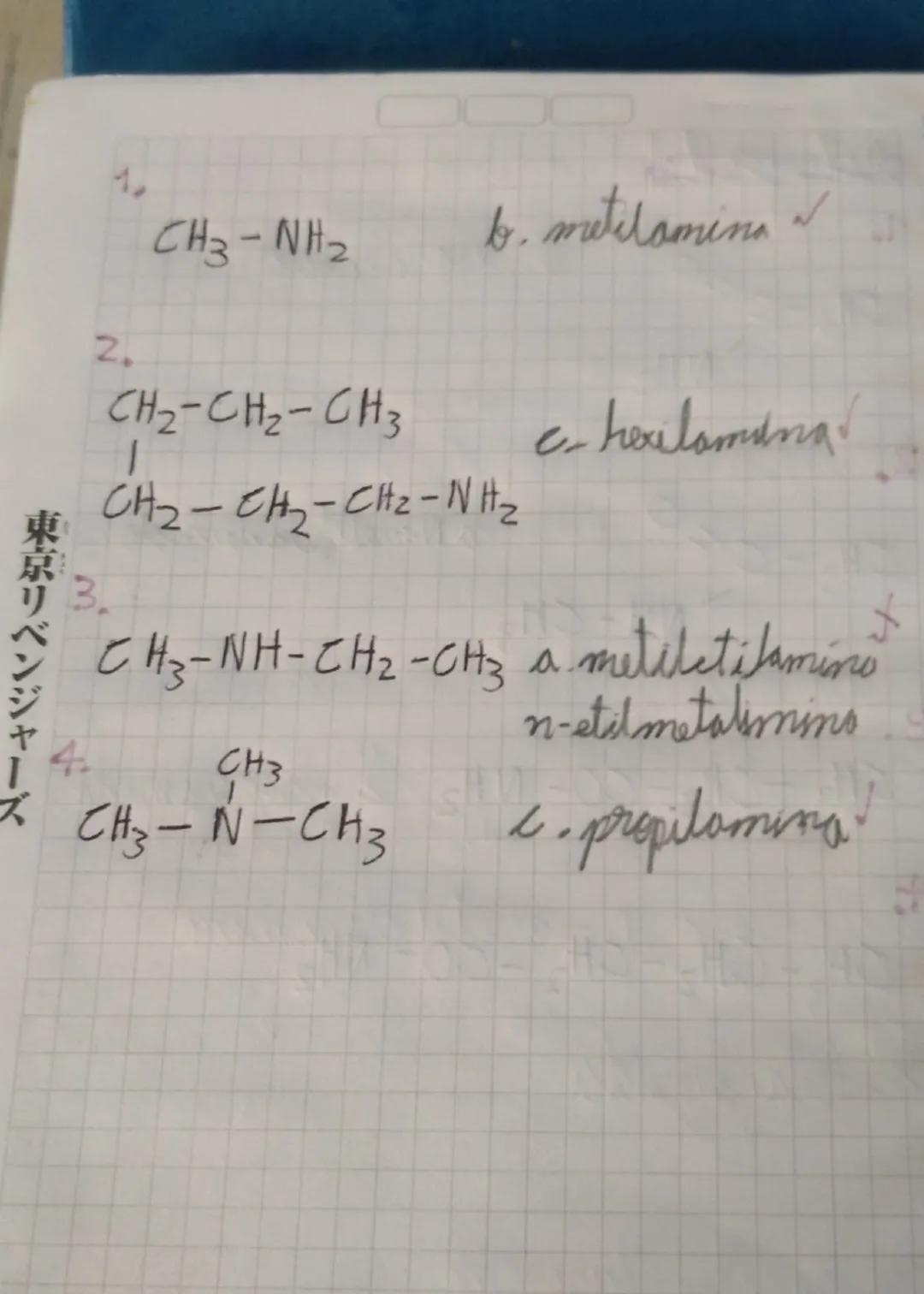 東京リ
23 082024
☆ Compuenter Wetheprador
son
• For compuestor nitrogenador
biomolécutor que en su estructions
contienen nitrogeno, ya sea in
m
