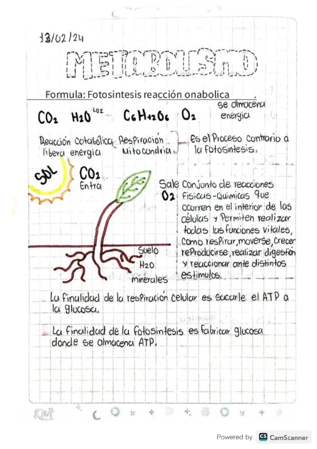 Biología 9°