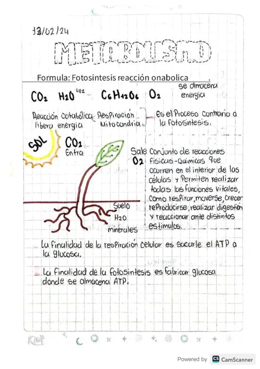 13/02/24
METALOUSHO
Formula: Fotosintesis reacción onabolica
LUZ
CO2 H20 C6H12O6 02
Reacción Catabolica Respiración.
libera energia
SOL
CO₂