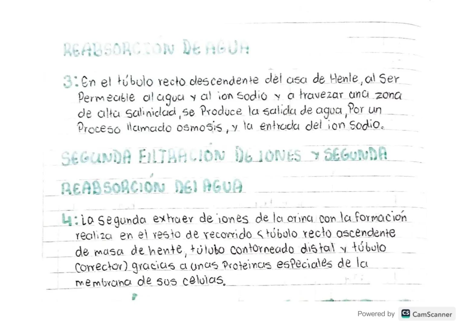 13/02/24
METALOUSHO
Formula: Fotosintesis reacción onabolica
LUZ
CO2 H20 C6H12O6 02
Reacción Catabolica Respiración.
libera energia
SOL
CO₂