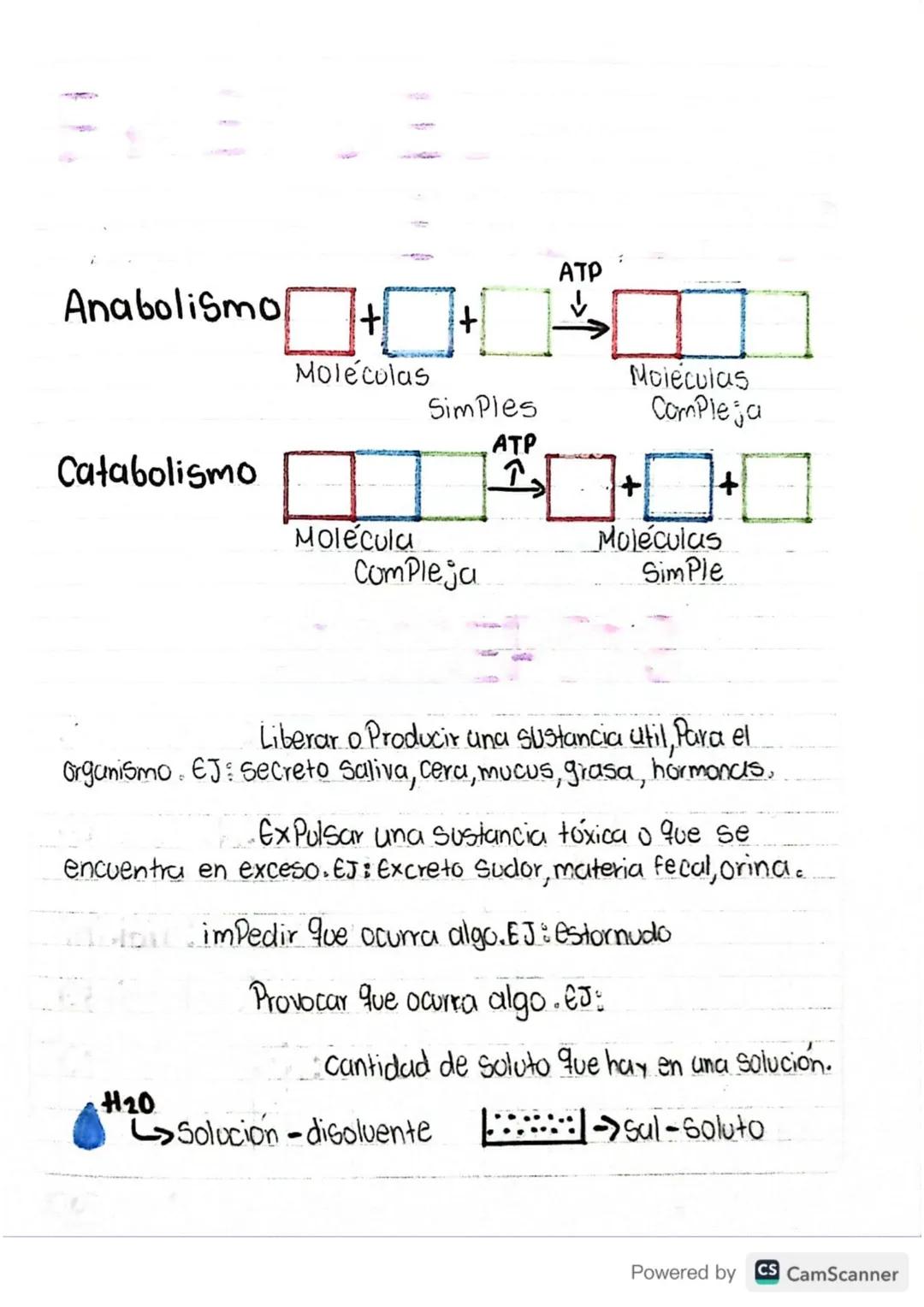 13/02/24
METALOUSHO
Formula: Fotosintesis reacción onabolica
LUZ
CO2 H20 C6H12O6 02
Reacción Catabolica Respiración.
libera energia
SOL
CO₂