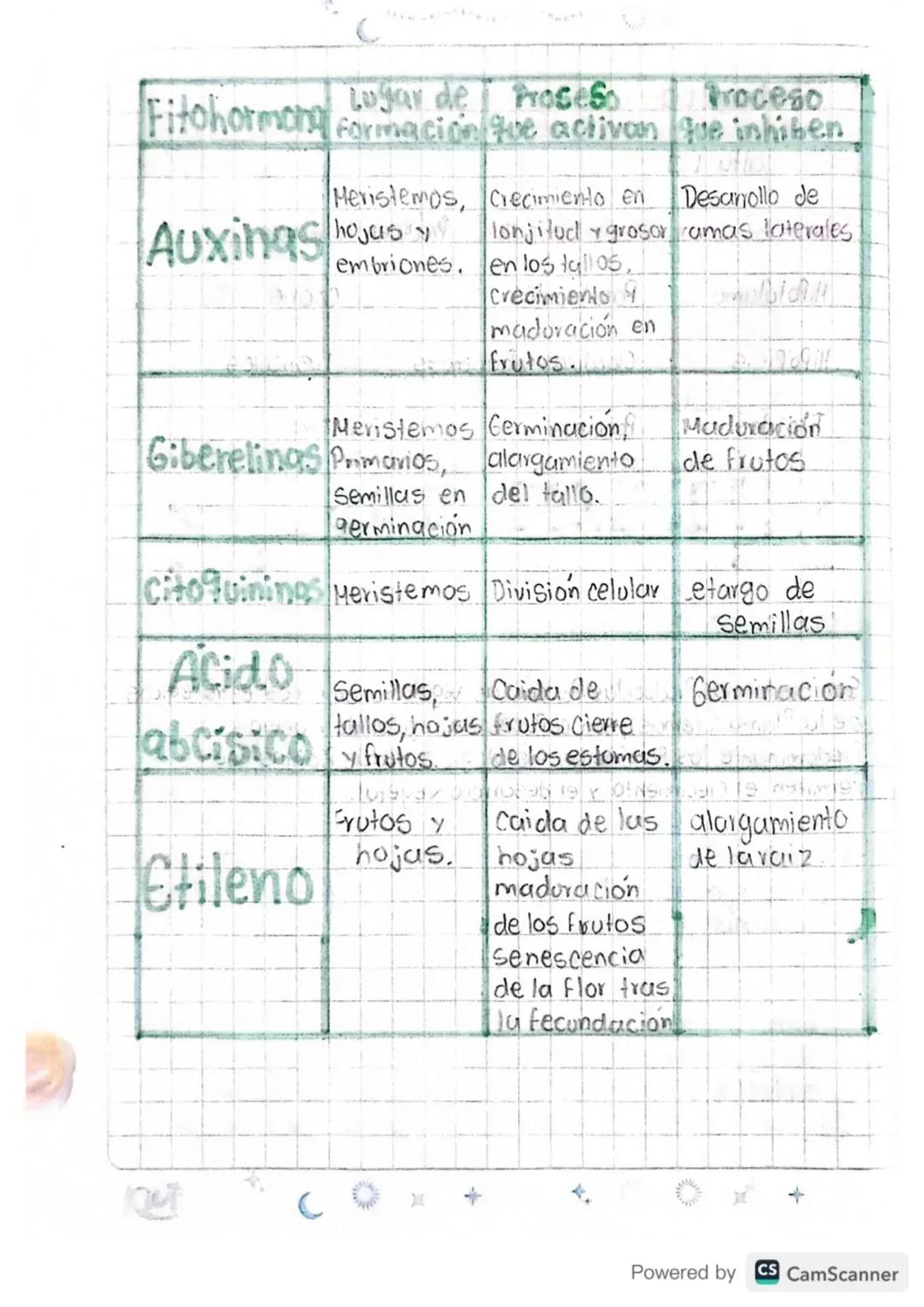 13/02/24
METALOUSHO
Formula: Fotosintesis reacción onabolica
LUZ
CO2 H20 C6H12O6 02
Reacción Catabolica Respiración.
libera energia
SOL
CO₂