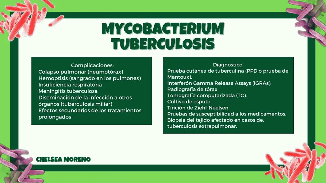 Mycobacterium tuberculosis y Neisseria meningitidis
