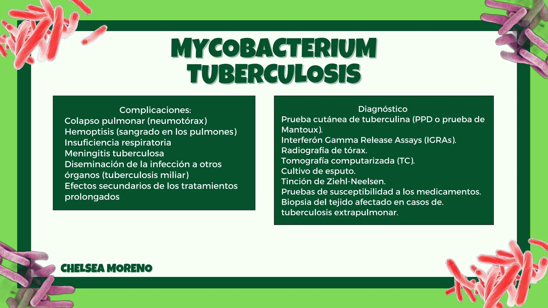# MYCOBACTERIUM
# TUBERCULOSIS
Complicaciones:
- Colapso pulmonar (neumotórax)
- Hemoptisis (sangrado en los pulmones)
- Insuficiencia resp