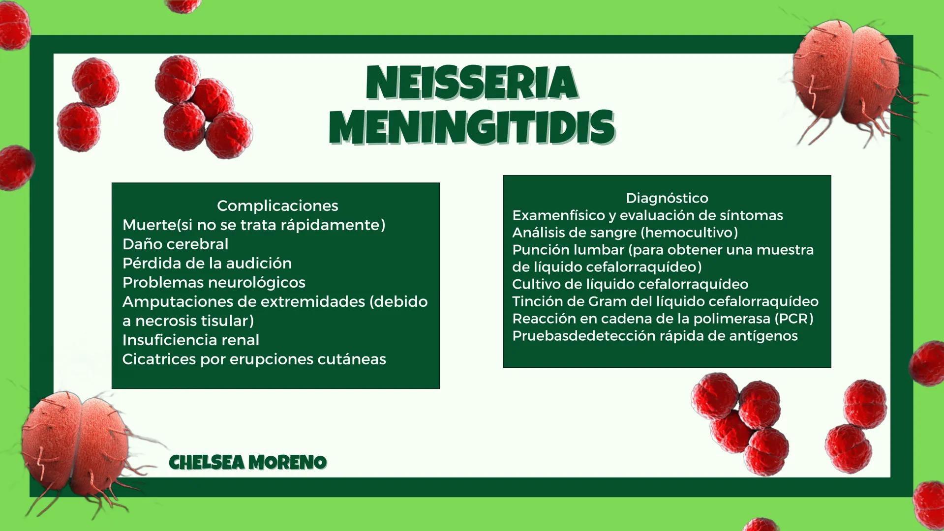 # MYCOBACTERIUM
# TUBERCULOSIS
Complicaciones:
- Colapso pulmonar (neumotórax)
- Hemoptisis (sangrado en los pulmones)
- Insuficiencia resp