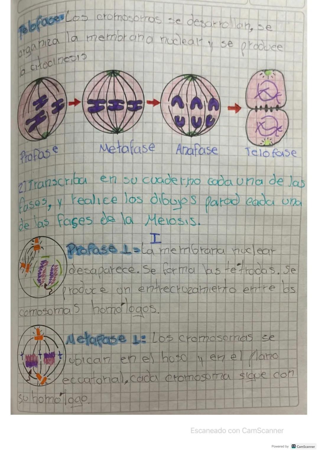 hot
summer
QUIA L
COLD
DRINK
"DONUT"
Relax
TIME!
WORRY Periodo
ZAPERIA 87
VALERIA CHAPARRO
Biologia
1) Transcriba a so evaderno o en hojas
a