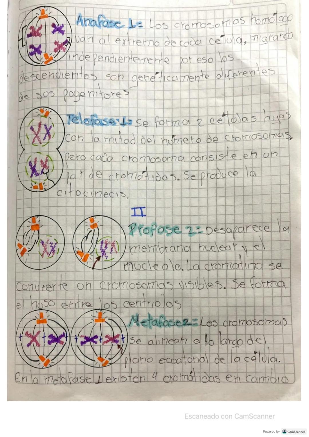 hot
summer
QUIA L
COLD
DRINK
"DONUT"
Relax
TIME!
WORRY Periodo
ZAPERIA 87
VALERIA CHAPARRO
Biologia
1) Transcriba a so evaderno o en hojas
a