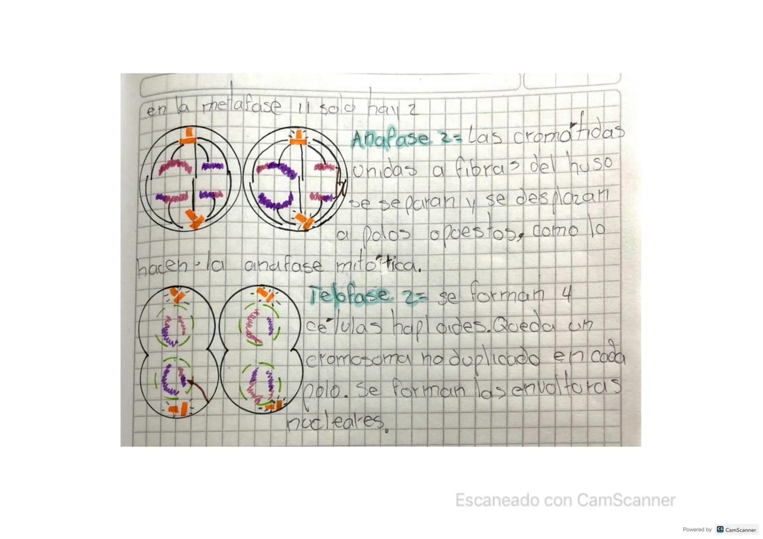 hot
summer
QUIA L
COLD
DRINK
"DONUT"
Relax
TIME!
WORRY Periodo
ZAPERIA 87
VALERIA CHAPARRO
Biologia
1) Transcriba a so evaderno o en hojas
a