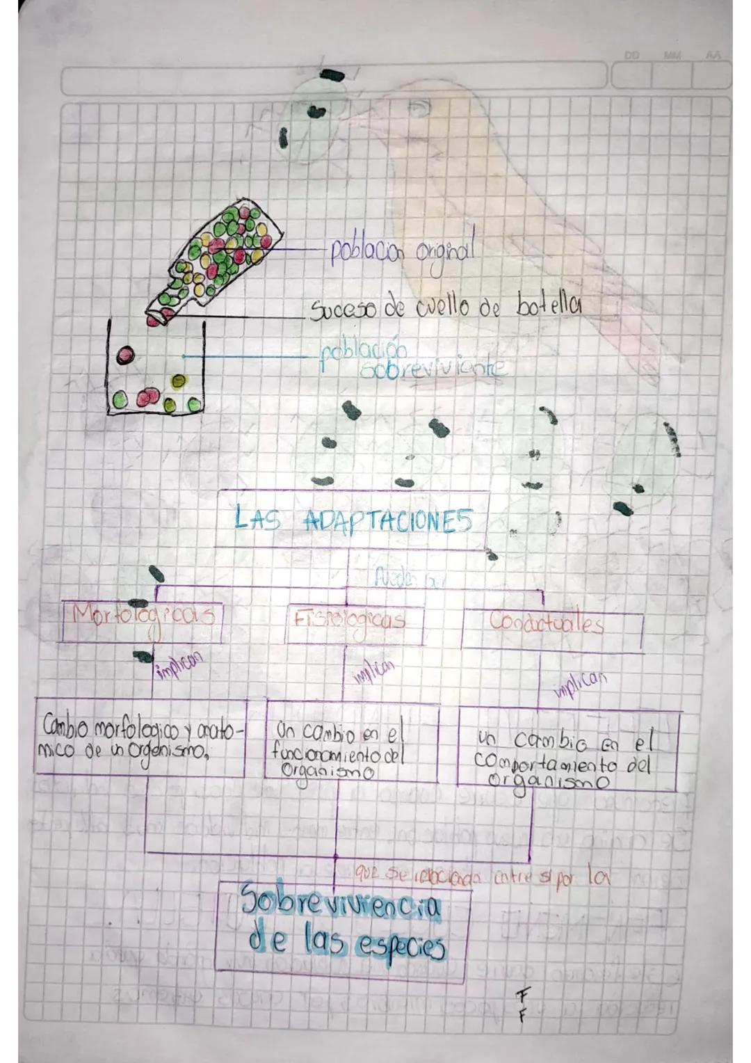 DD
MM
AA
22/05/24
MUTACION
康康
DERIVA GENETICA
D D N 00
EFECTO FUNDADOR
Individeos
Fenomeno que courre coondo a partir de unas pocos
Se orgin