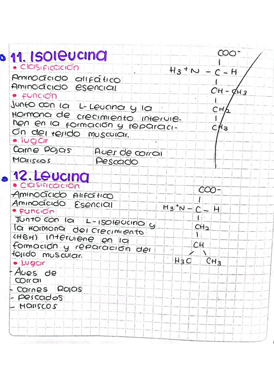 Clasificación de aminoácidos