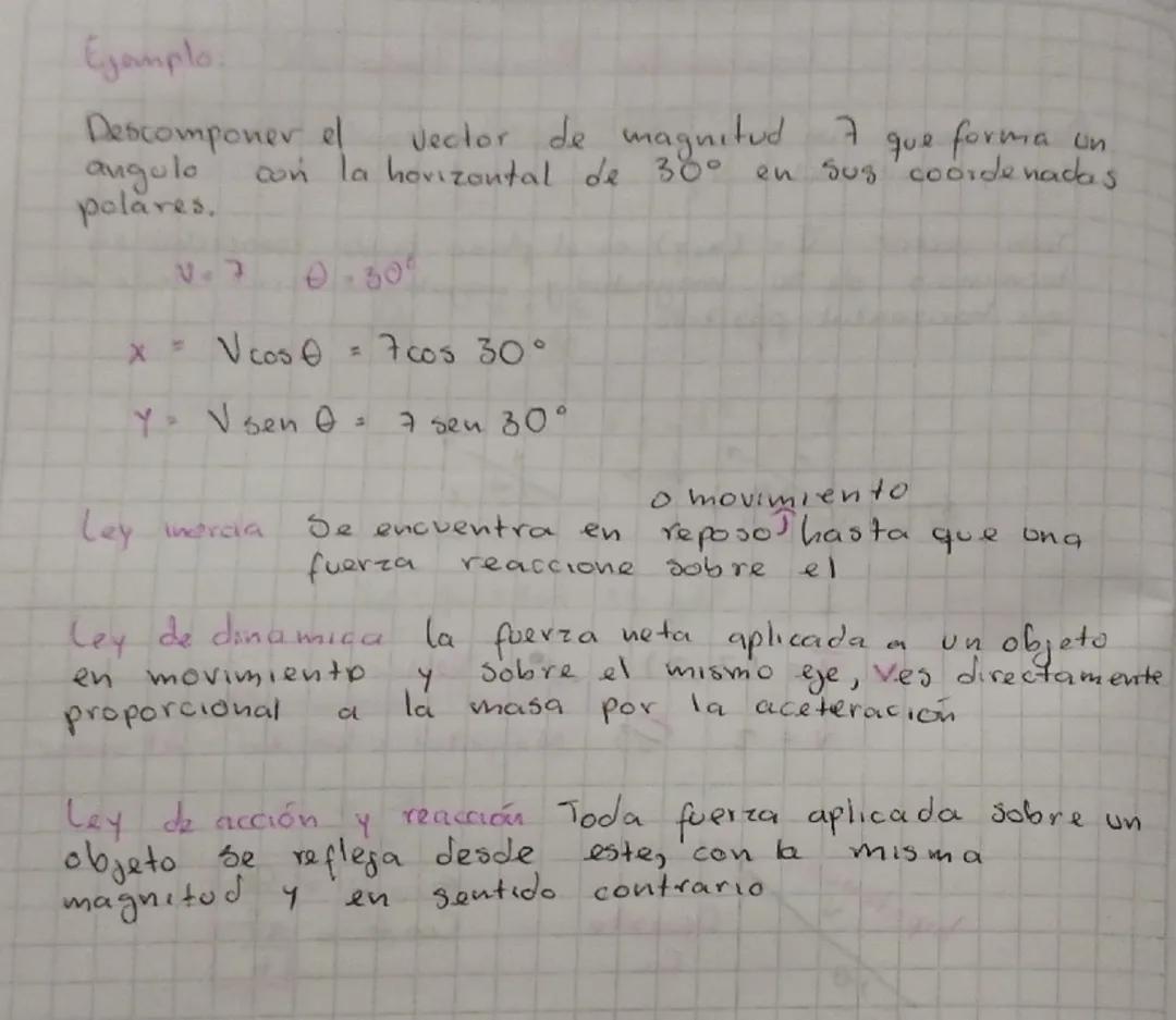 Ejemplo de descomposición de un vector y descripción de ley de inercia, dinámica, acción y reacción