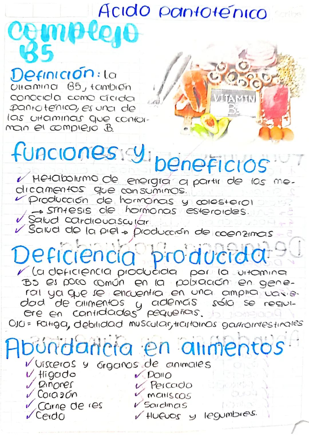 Complejo B5 o ácido pantoténico