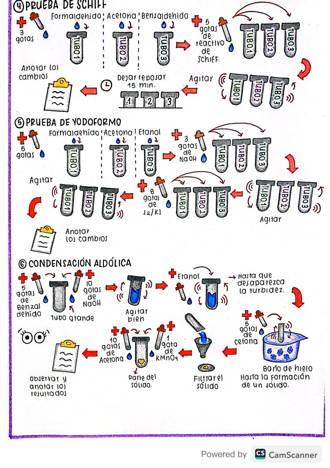 PRACTICA DE LABORATORIO #4
propiedades quimicas DE
ALDEH₁POST GETONAS
+
Y
PREPARACIÓN DE 2,4-DINITROFENILHIDRAZONAS
3
gotos
Acetona Formalde