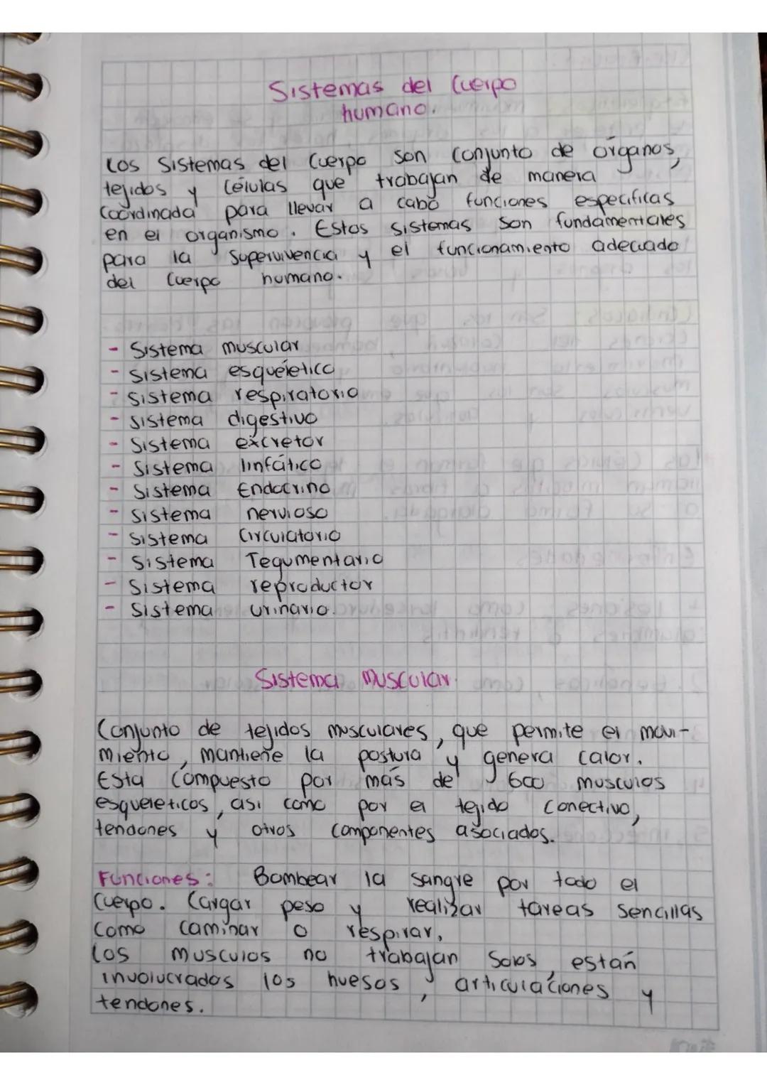 Sistemas del (verpo
humano.
Los Sistemas del Cuerpo son conjunto de organos,
tejidos
Y
Células que
Coordinada para llevar
trabajan
a cabo
en