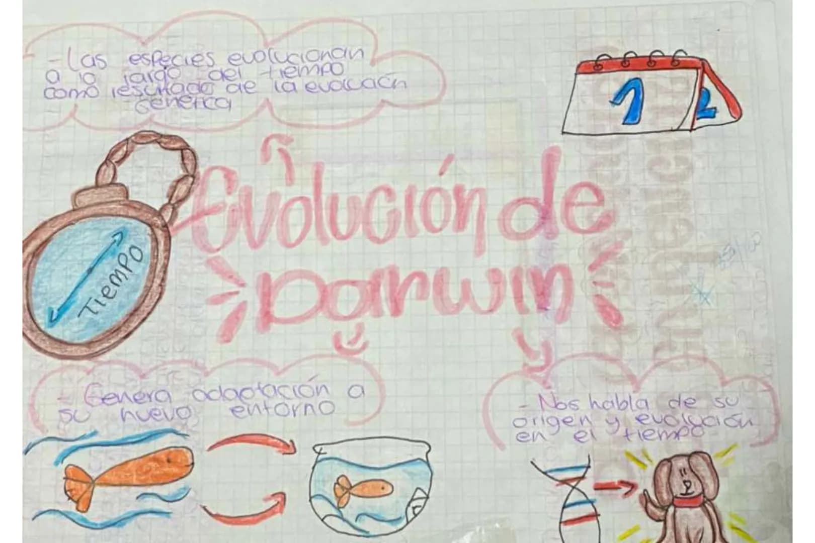# Evolución de Darwin
- Las especies evolucionan a lo largo del tiempo como resultado de la evolución genética
Tiempo
1
2
- Genera adapt