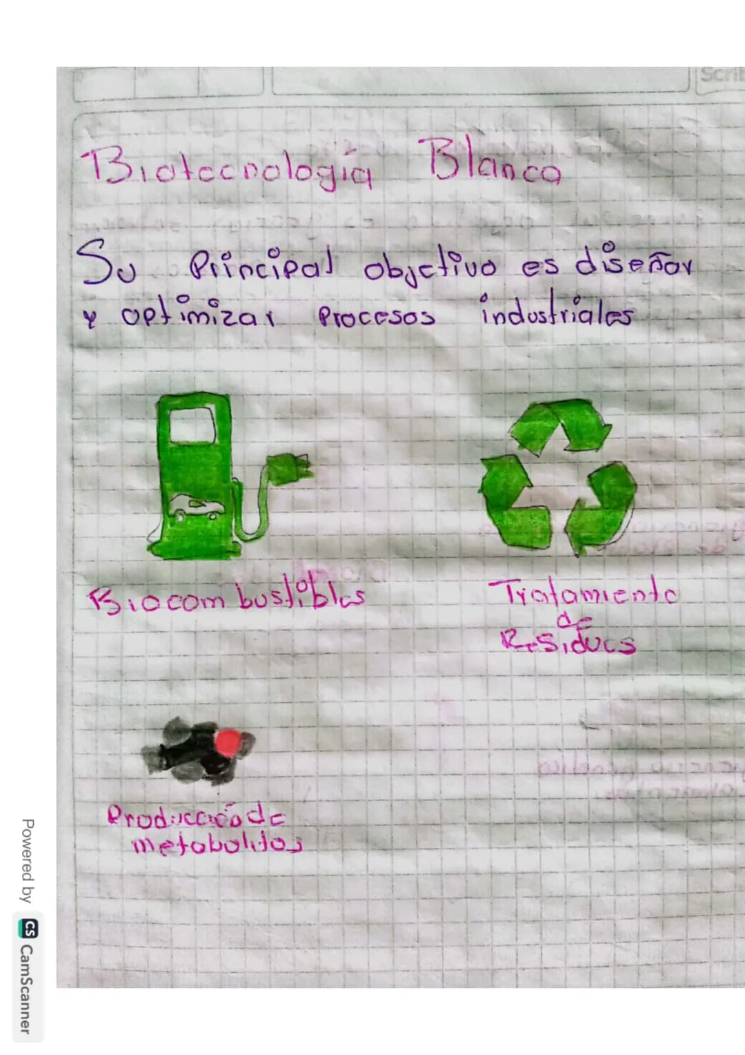 Biotecnología Blanca
Scrit
Su Principal objetivo es diseñor
y optimizar Procesos industriales
Biocombustibles
Tratamiento
de
Residuos
Produc
