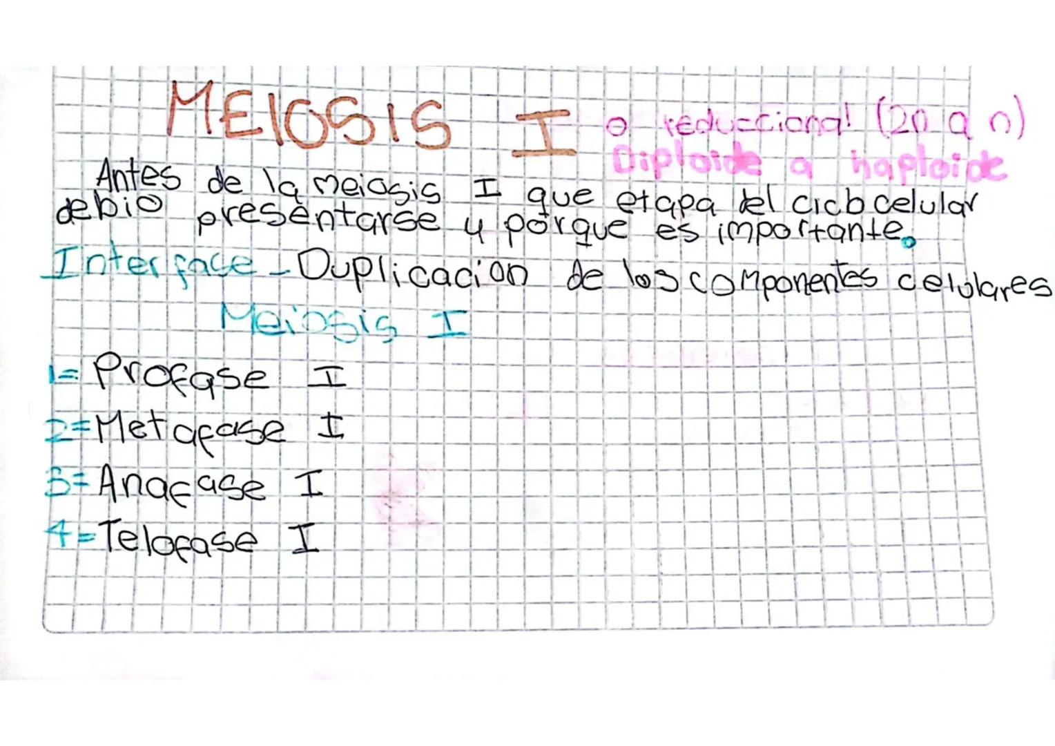 División Celular
MEIOSIS
La mejosis es un proceso en el cualia partir de
una celula diploide (2n) se obtienen 4 celulas
hijas que son aploid
