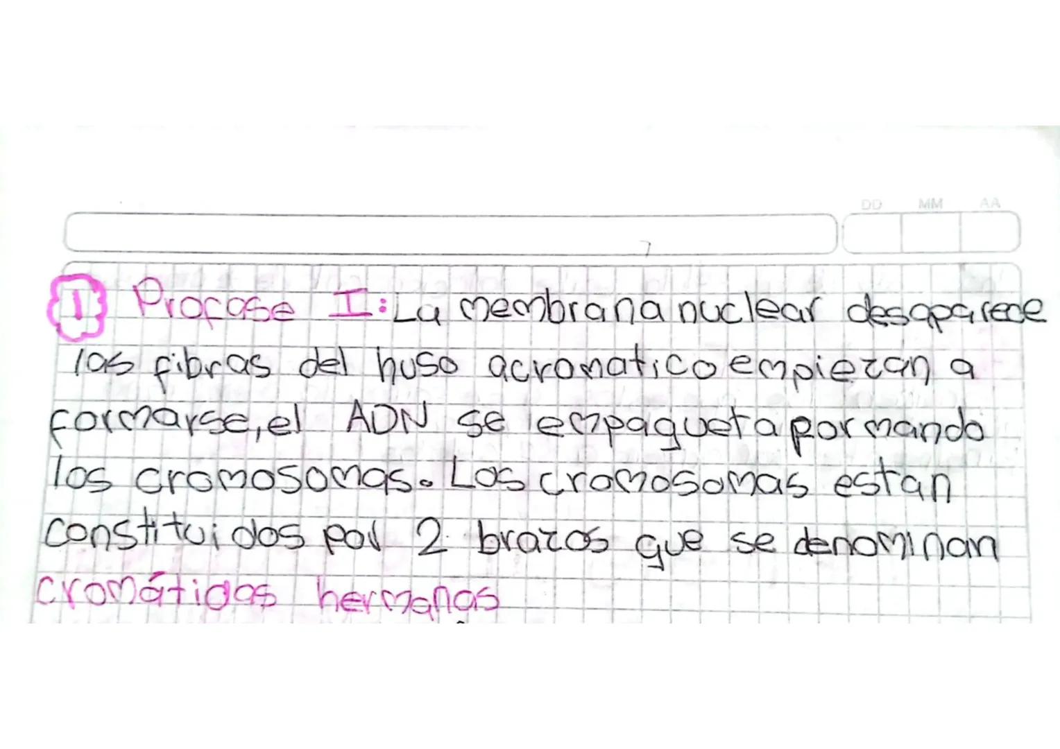 División Celular
MEIOSIS
La mejosis es un proceso en el cualia partir de
una celula diploide (2n) se obtienen 4 celulas
hijas que son aploid