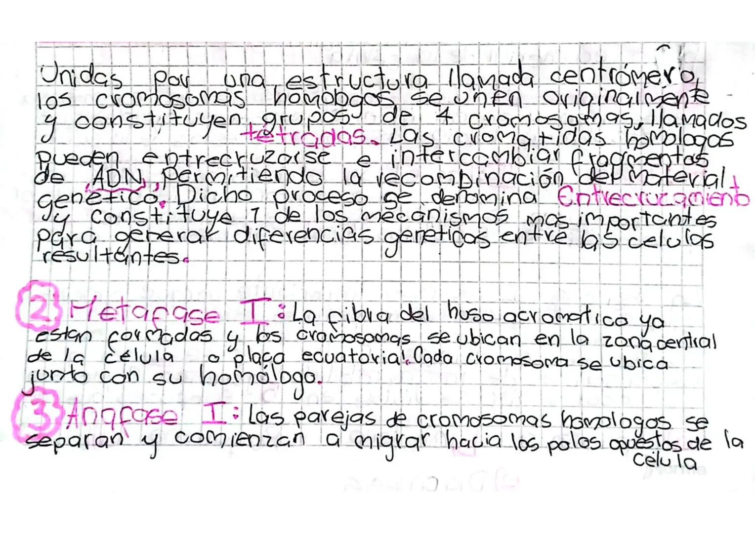 División Celular
MEIOSIS
La mejosis es un proceso en el cualia partir de
una celula diploide (2n) se obtienen 4 celulas
hijas que son aploid