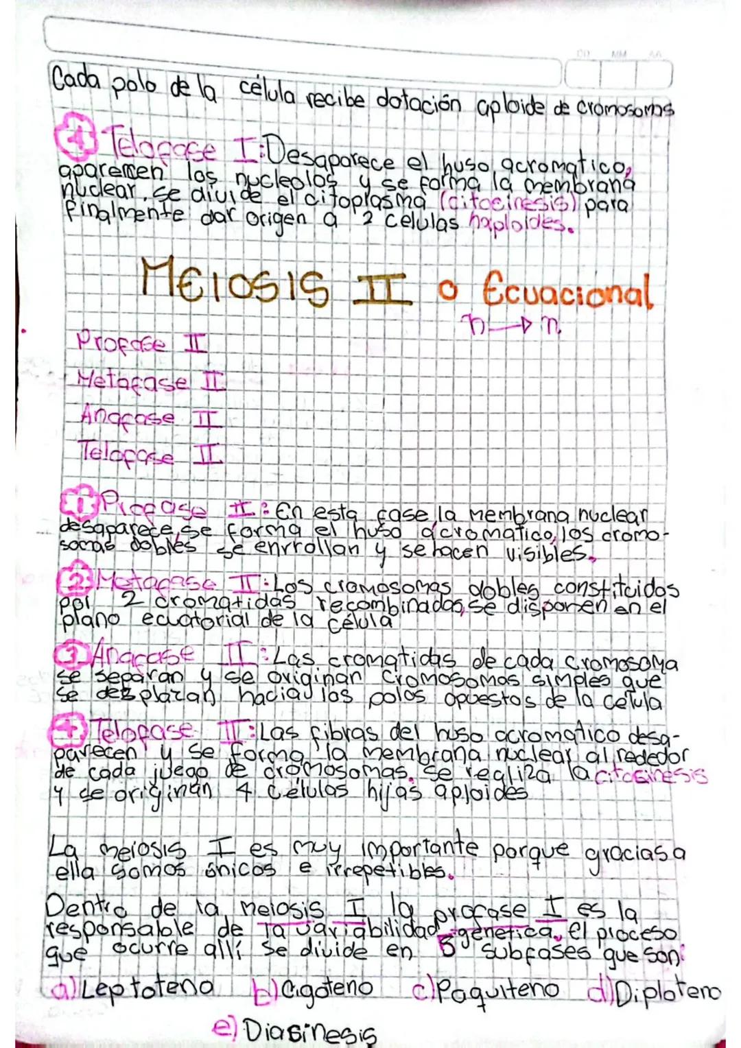 División Celular
MEIOSIS
La mejosis es un proceso en el cualia partir de
una celula diploide (2n) se obtienen 4 celulas
hijas que son aploid