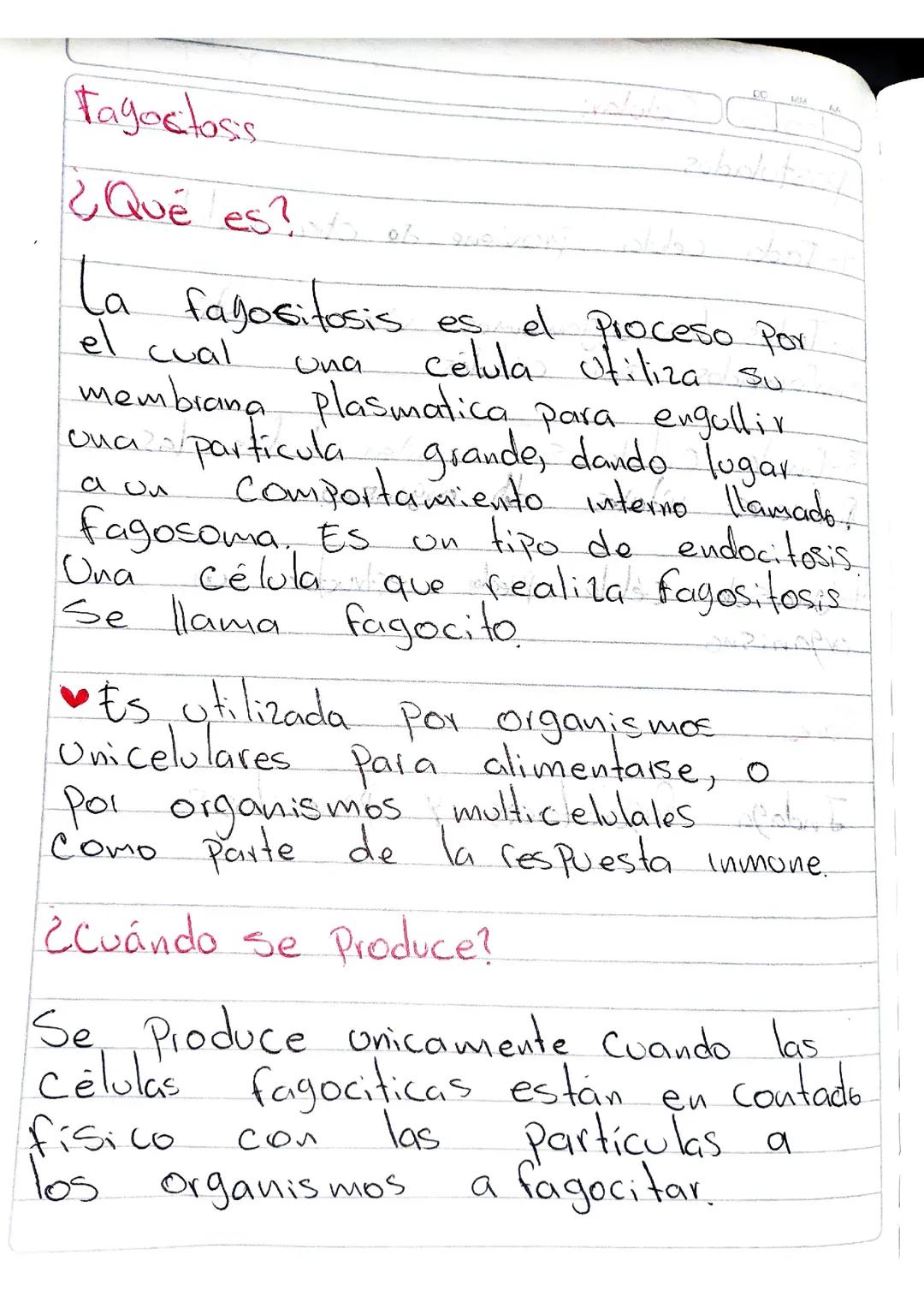 La fagocitosis y la pinocitosis