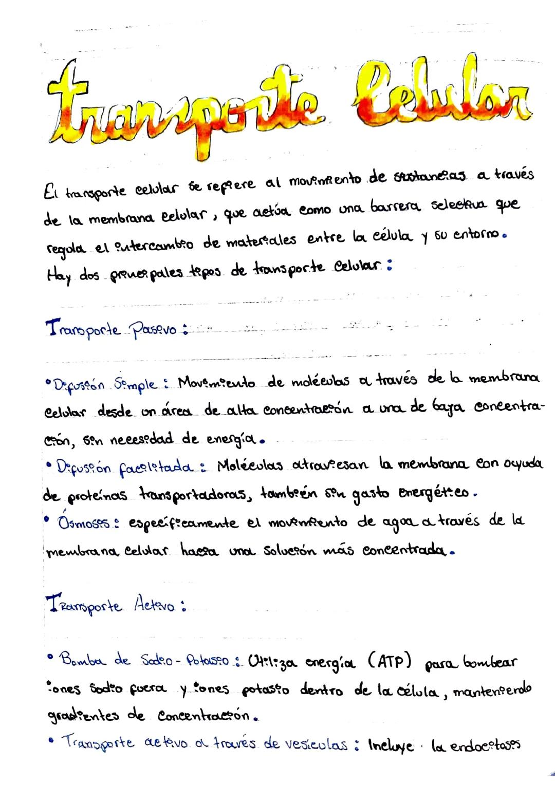 Transporte celular