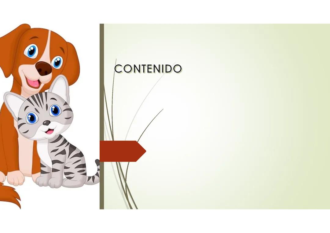 Proyecto animales