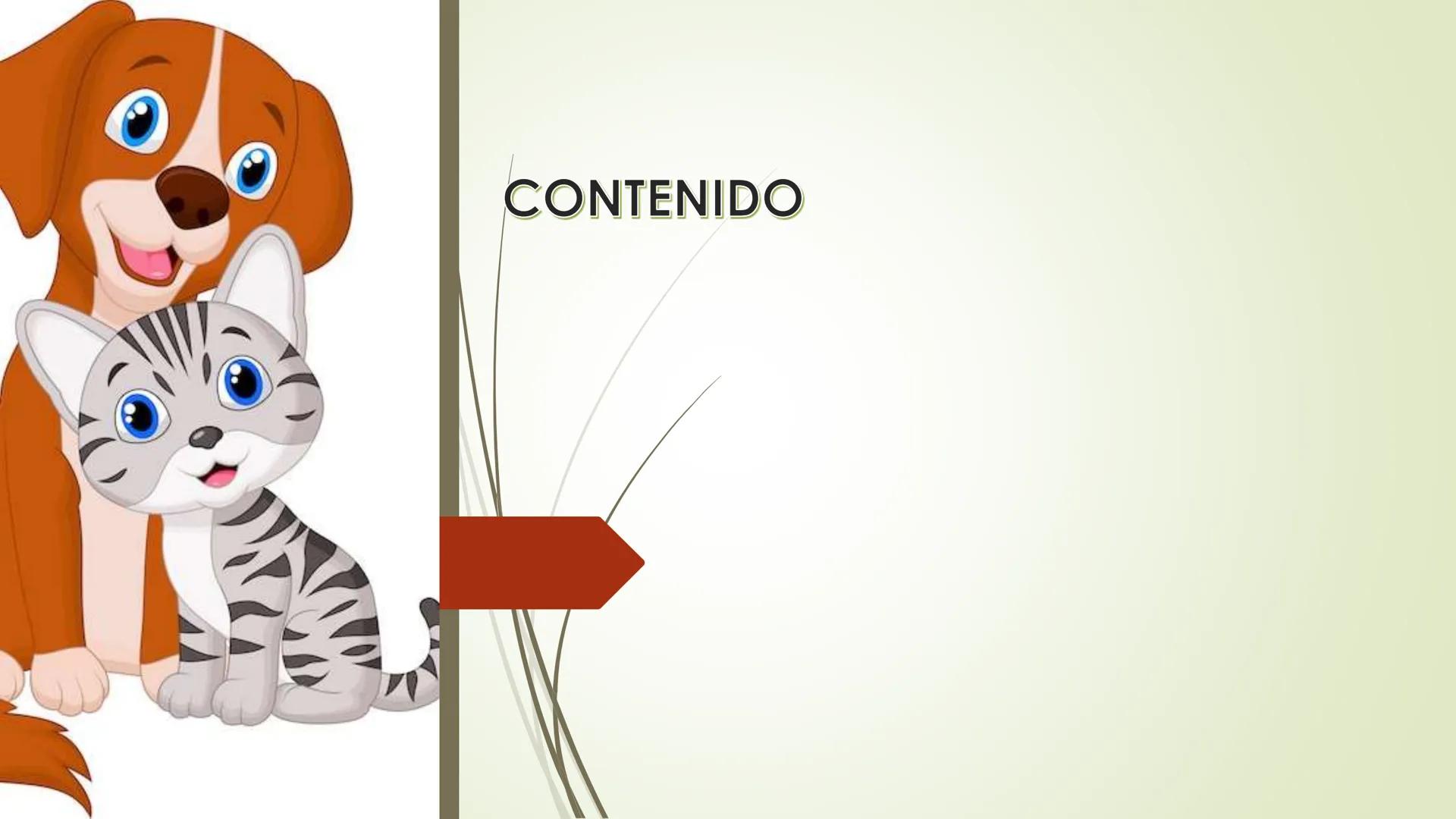 CONTENIDO OBJETIVO GENERAL
Diseñar una red de distribución de
alimentos y accesorios para
mascotas a través de plataformas
digitales de repa