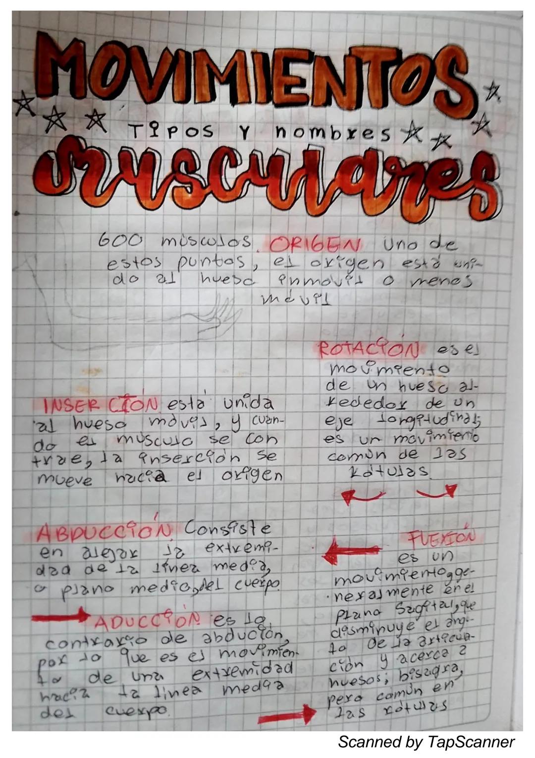 EL Sistema
MUSCULO
El sistema muscular es el que permite at
Cuerpo realizar el movimiento además de man-
Ja
Ja estabilidad. Este siste-
encu